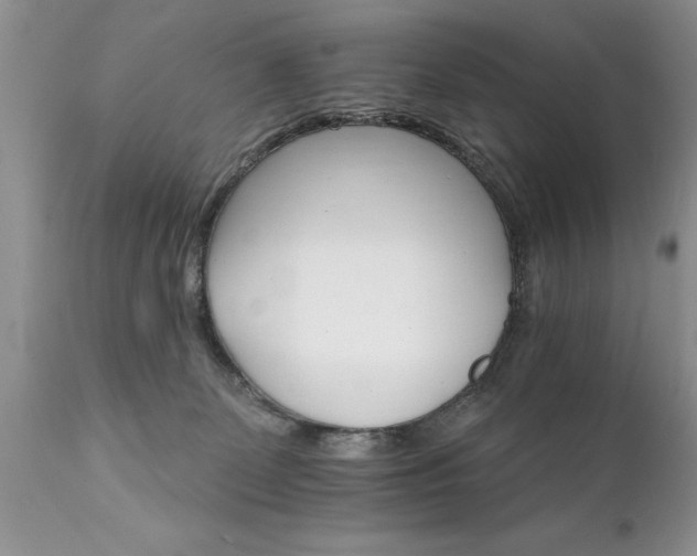 X0000111800131200907301218