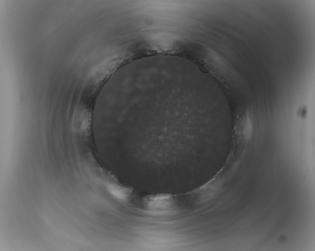 X0000111800132200907301218