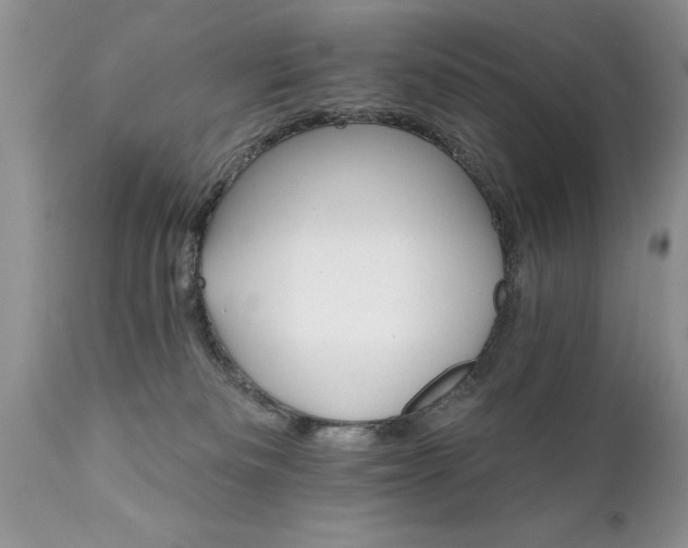 X0000111800133200907301218