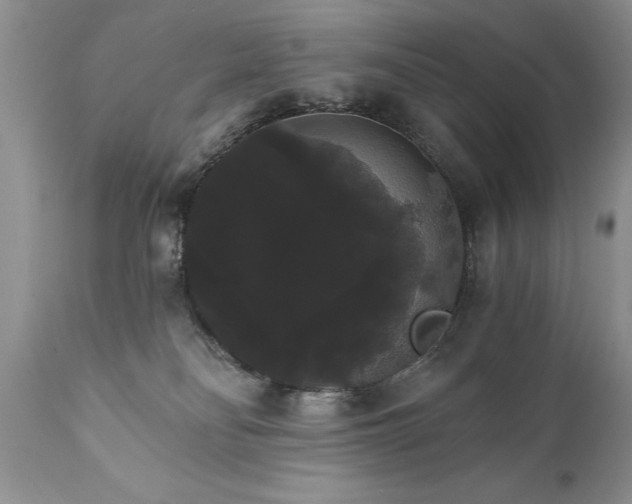 X0000111800134200907301218