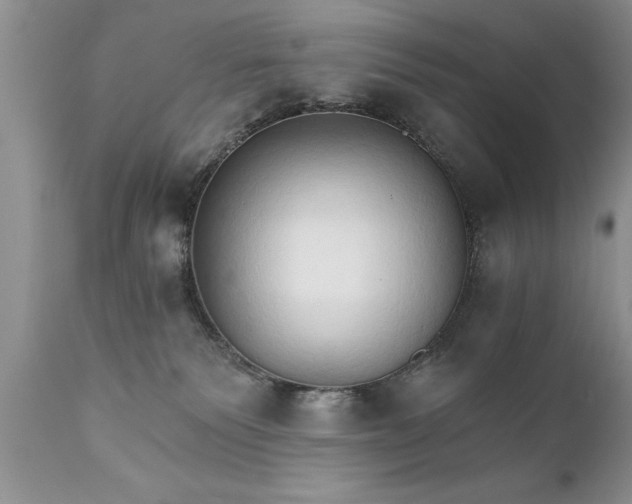 X0000111800135200907301218