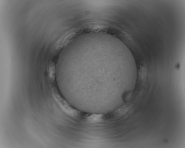 X0000111800138200907301218