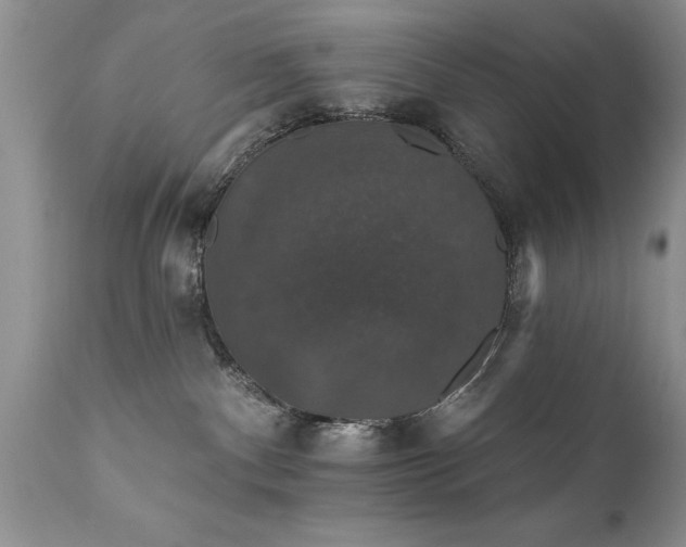 X0000111800140200907301218