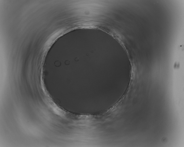 X0000111800145200907301217