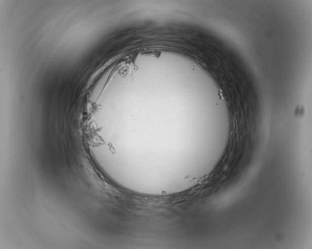 X0000111800146200907301217