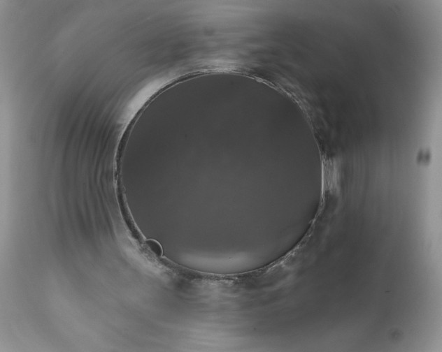 X0000111800147200907301217