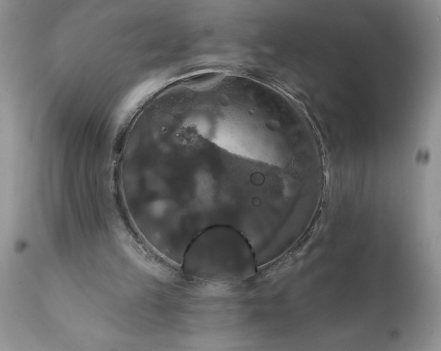 X0000111800149200907301217