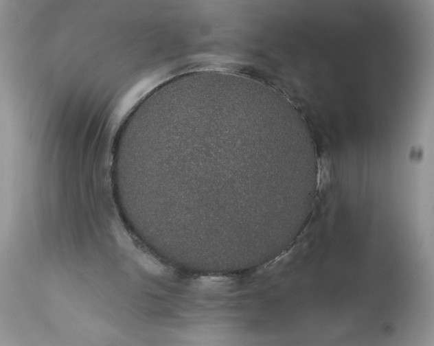 X0000111800150200907301217