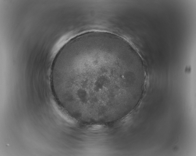X0000111800151200907301217