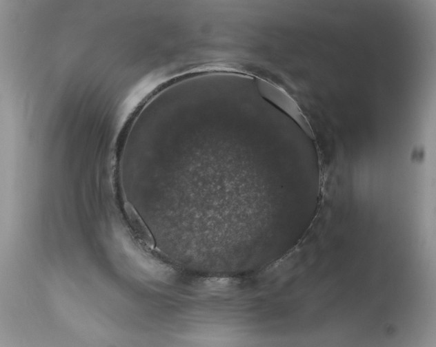 X0000111800152200907301217