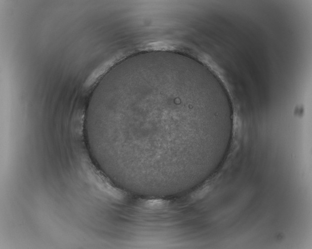X0000111800153200907301217