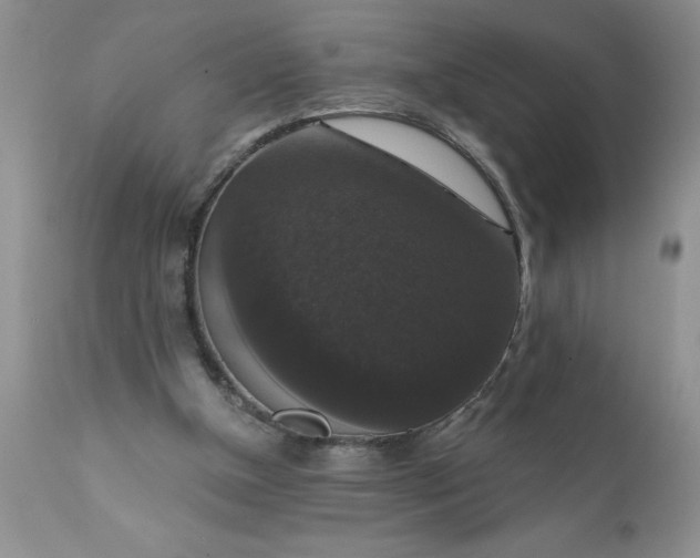 X0000111800154200907301217