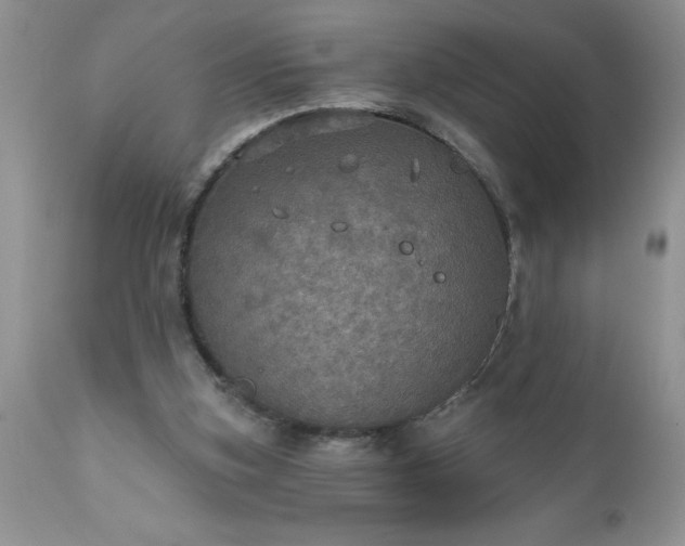 X0000111800155200907301217
