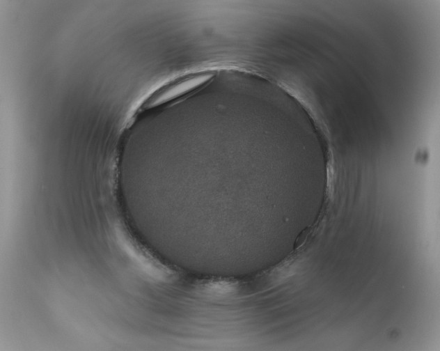 X0000111800156200907301217