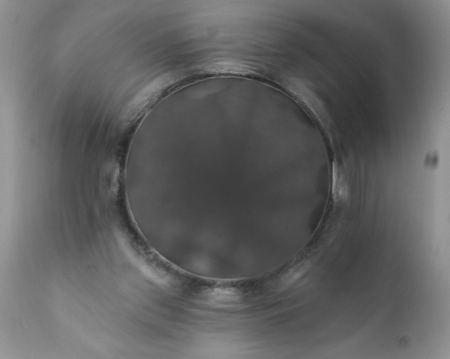 X0000111800157200907301217