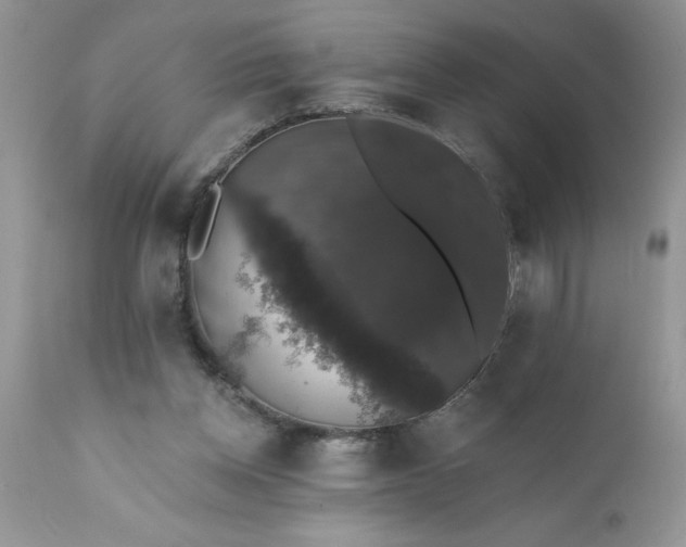 X0000111800158200907301217