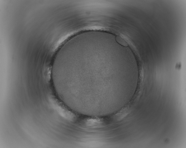 X0000111800160200907301217