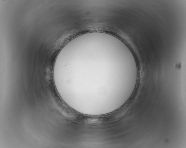 X0000111800161200907301217