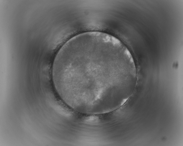 X0000111800162200907301217
