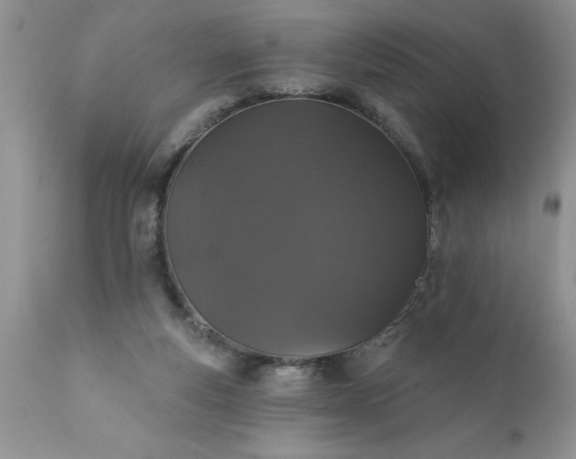 X0000111800163200907301217