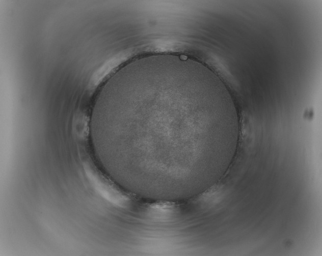 X0000111800164200907301217