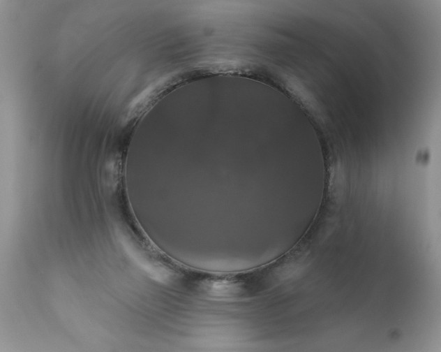 X0000111800165200907301217
