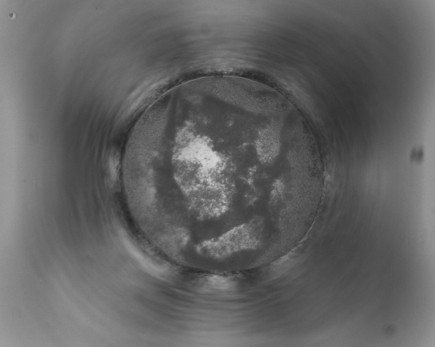 X0000111800166200907301217