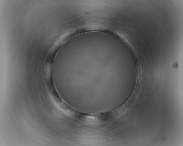 X0000111800167200907301217