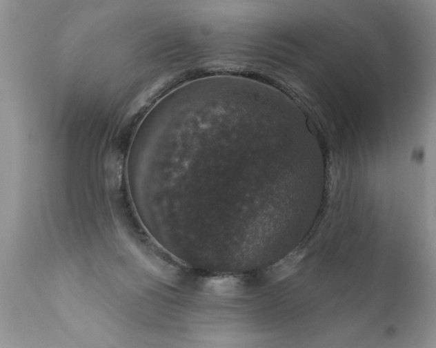 X0000111800168200907301217