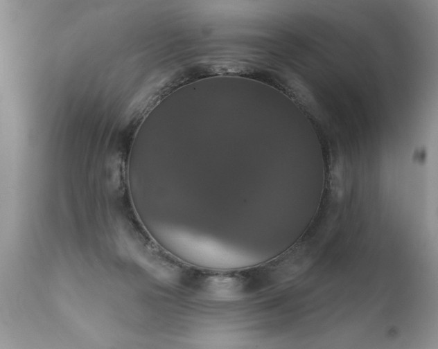X0000111800169200907301217