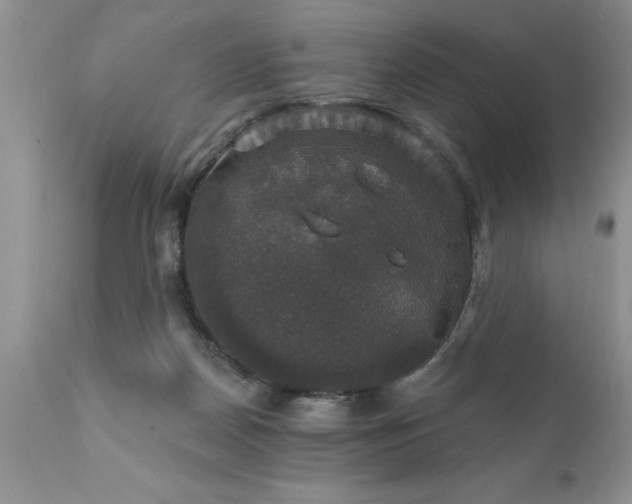 X0000111800170200907301217