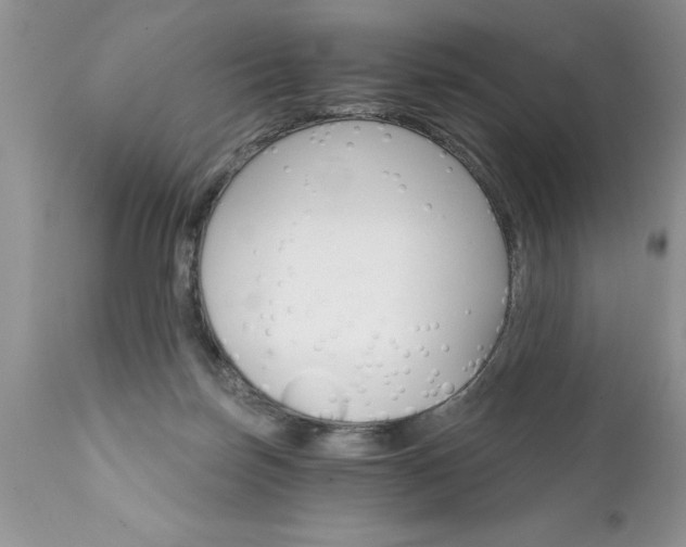 X0000111800171200907301217