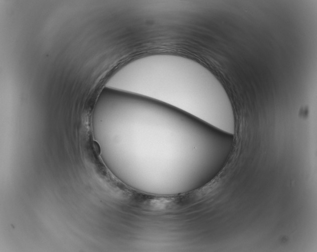 X0000111800172200907301217