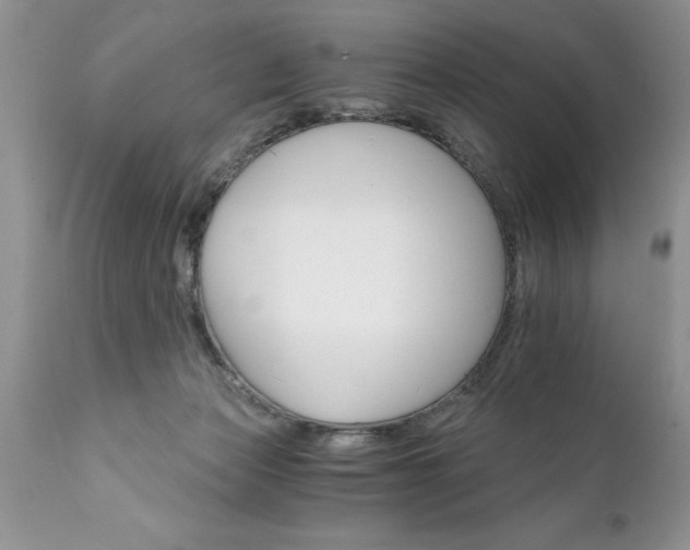 X0000111800173200907301217
