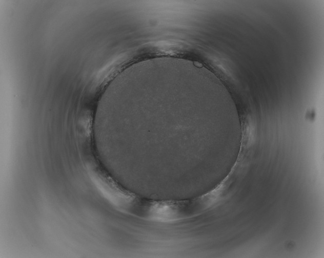 X0000111800174200907301217