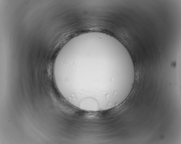 X0000111800175200907301217