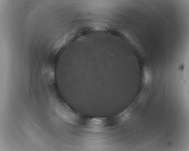 X0000111800176200907301218
