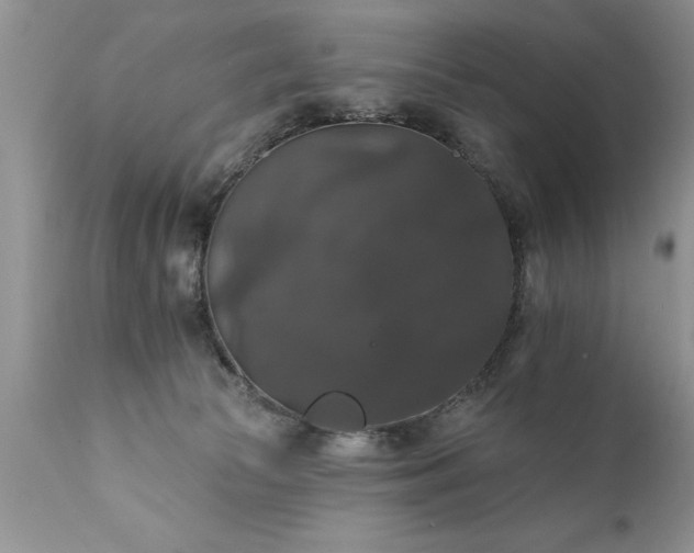 X0000111800177200907301218