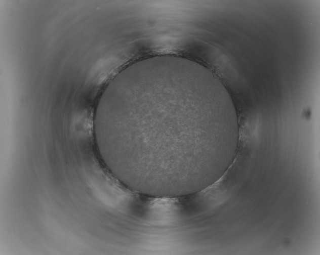 X0000111800179200907301218