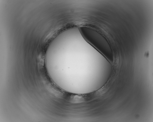 X0000111800180200907301218