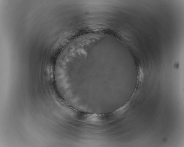 X0000111800182200907301218