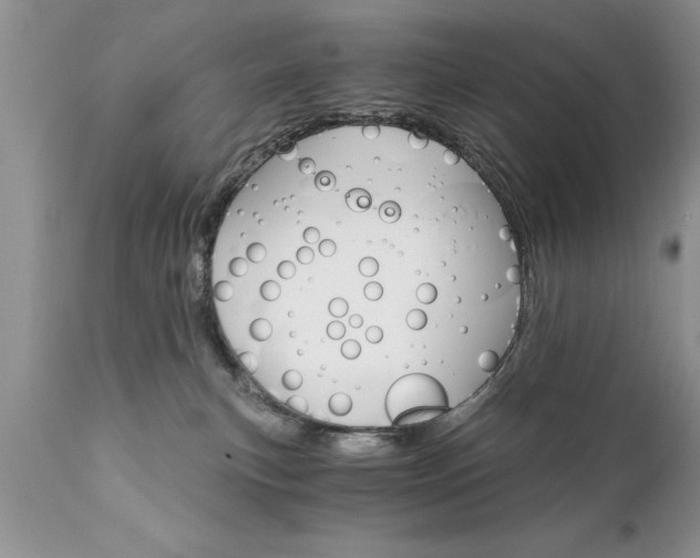 X0000111800183200907301218