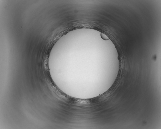 X0000111800185200907301218