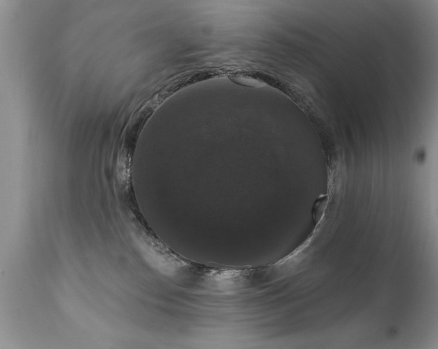 X0000111800186200907301218