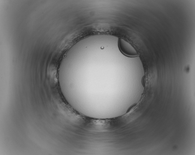 X0000111800187200907301218