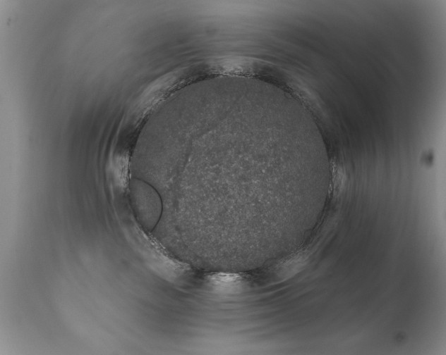 X0000111800189200907301218