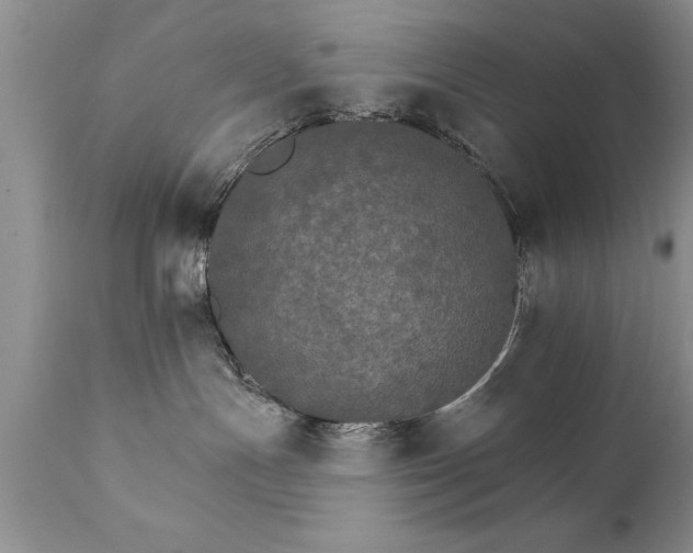 X0000111800191200907301218