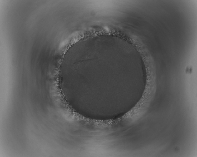 X0000111800192200907301218