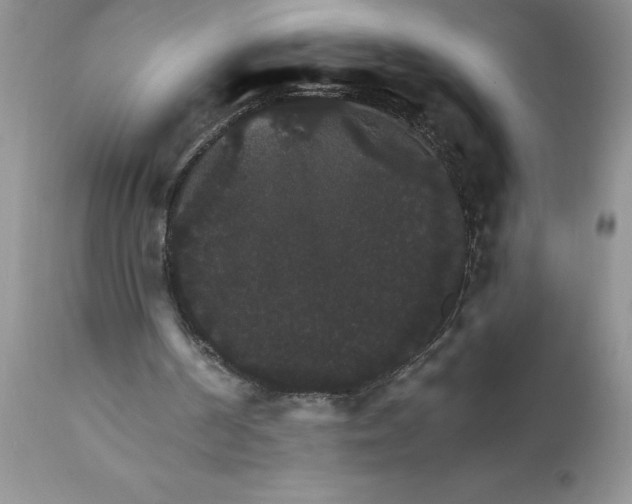 X0000111800194200907301217