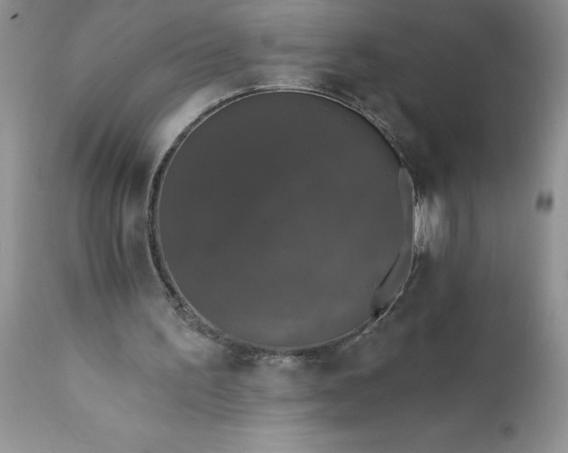 X0000111800195200907301217